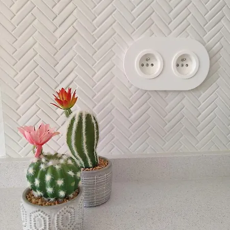 Ocean View Cabezo Apartment El Medano (Tenerife)